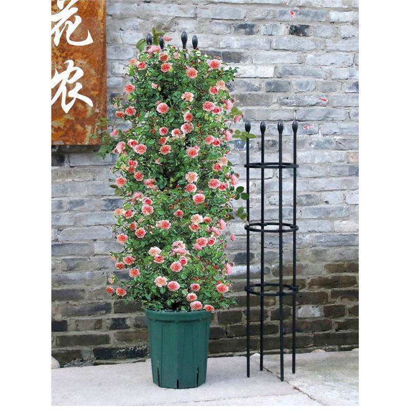 户外阳台花架爬藤架园艺风车铁线莲藤本月季攀爬架花柱架子花支架