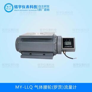 气体腰轮罗茨流量计天然燃煤瓦斯液化贸易计量智能气体流量计