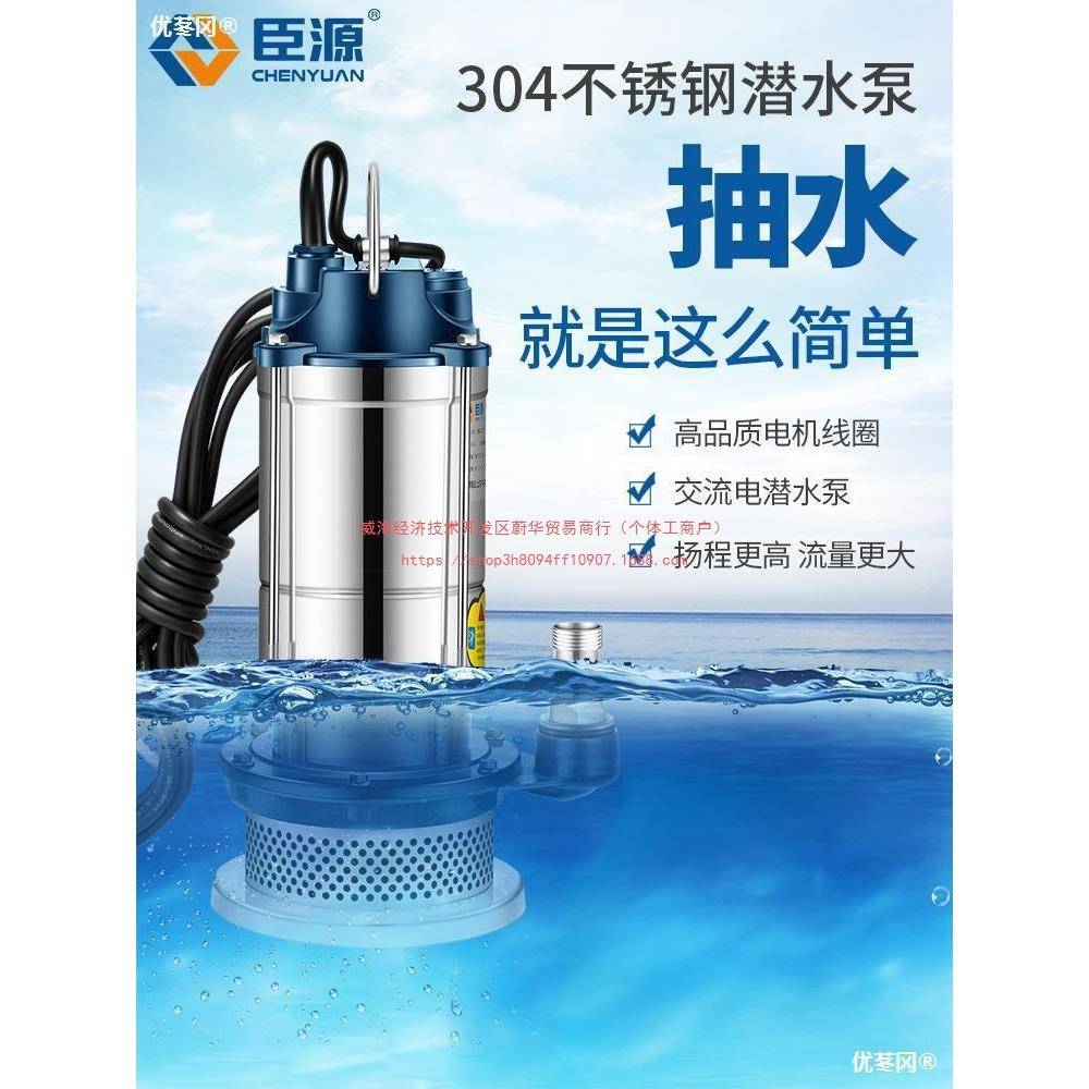 臣源潜水泵220V家用小型不锈钢井水高扬程抽水机农用灌溉排污直销