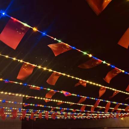 国旗跨街灯管子钢丝皮线灯串联15面旗帜10米100灯两面发光皮线灯