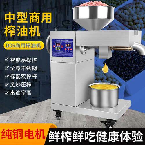 220V/110V商用榨油机中小型家用螺旋炸油机全自动油坊D06oilpr