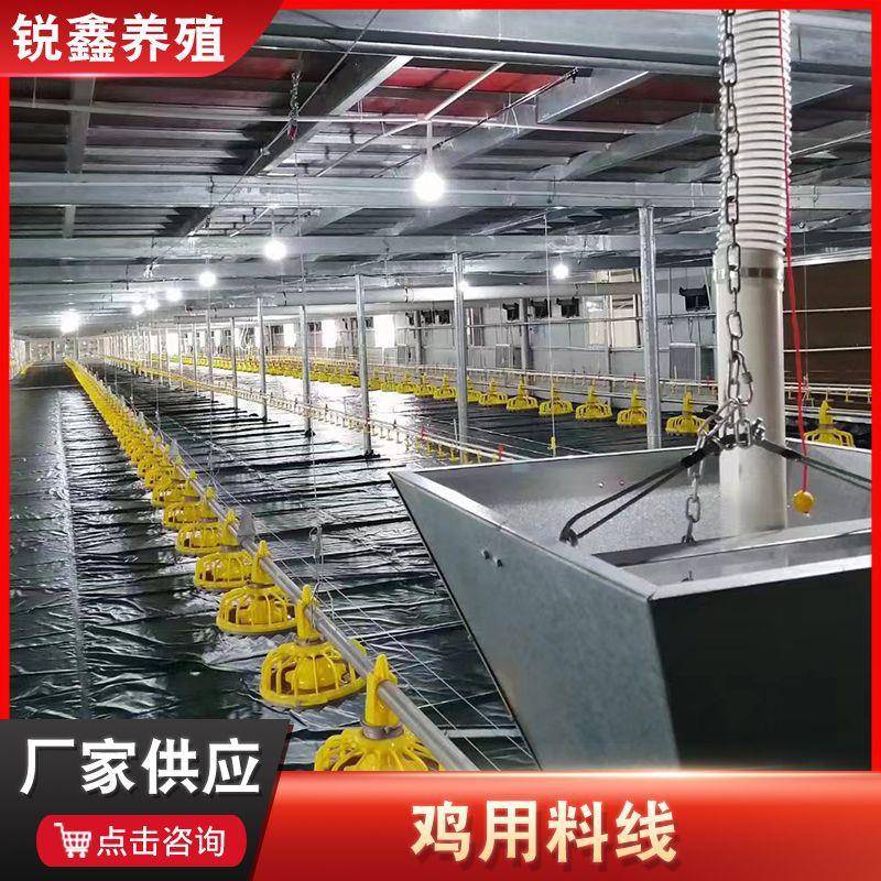 全自动喂水喂料鸡鸭舍料盘鸡用料线平养投料养鸡设备鸡用料线