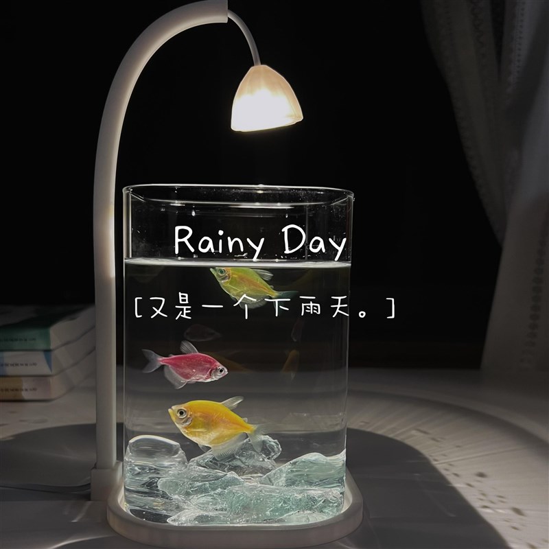 泰国斗鱼鱼缸网红同款小型高透玻璃造景桌面缸宿舍小夜灯礼物