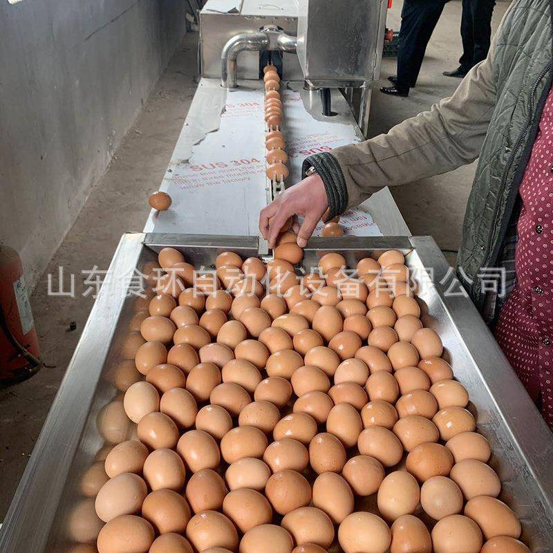 鹌鹑蛋清洗机双排鸡蛋清洗机清洗鸡蛋上的杂质诸城洗蛋机厂家