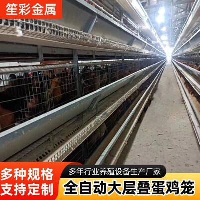 自动化养殖笼养鸡设备大型鸡舍养鸡笼子大层叠立式养殖蛋鸡笼子