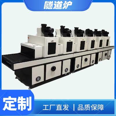厂家直供隧道式烘干炉全自动精密隧道炉无尘隧道炉烘干线