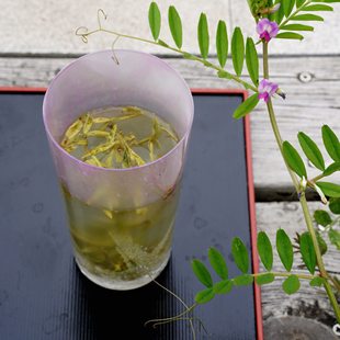 水璃语 | 芍锦琉璃匠玻璃杯玻绿茶杯具 人 心 手工