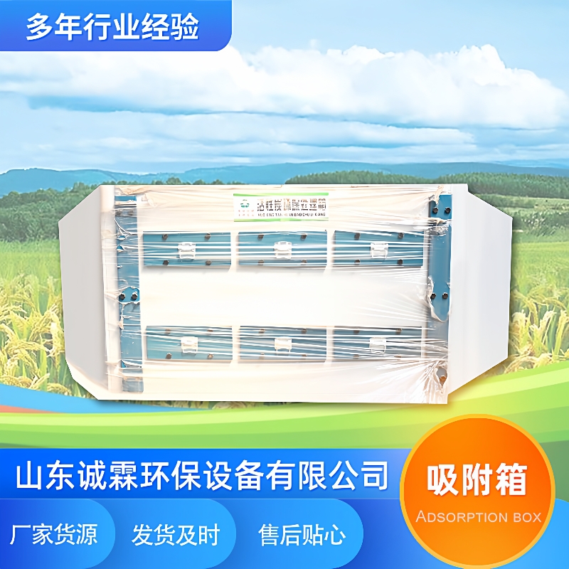 不锈钢漆雾过滤吸附箱干式过滤器pp工业废气处理设备活性炭吸附箱