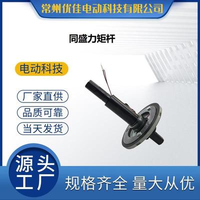 自行车改装同盛中置电机内置力矩感应器