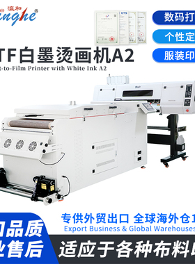 Yinghe 60cm All-in-One DTF Printer | For Fast T-Shirt & Hoodie Customization, User-Friendly