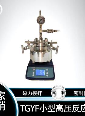 50ml微型反应釜，50ml配套磁力搅拌电热套高压釜