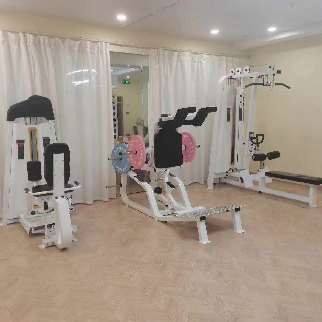 商用减肥塑形健身器材哈克深蹲大腿内外侧高低拉挂片力量女子训练