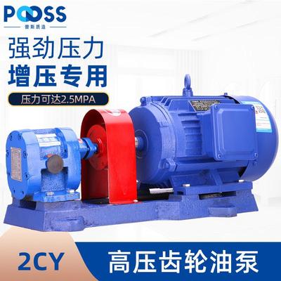 普斯2CY高压齿轮油泵电机机油柴油循环抽油泵自吸增压铜芯2.5MPA
