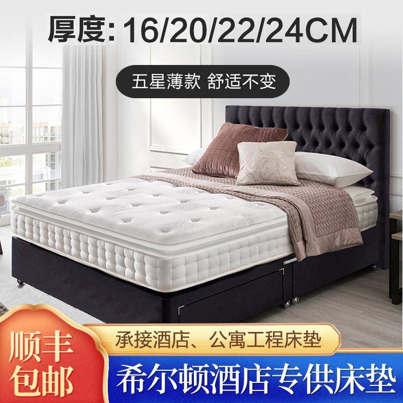 乳胶床垫软硬两用薄款16CM护脊家用软垫20CM席梦思静音弹簧床垫