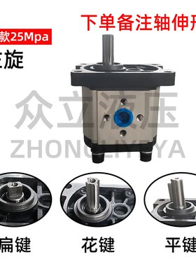东方红加强款液1齿轮泵油BC泵N-F306 310 3压4 316 320 325系列花