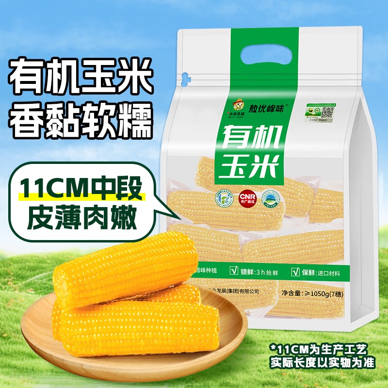 香糯有机玉米真空包装新鲜美味内蒙古特产玉米