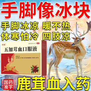 五加茸血口服液鹿茸大补肾阳肾阳虚男女肾虚茸血口腋液畏寒益精tx