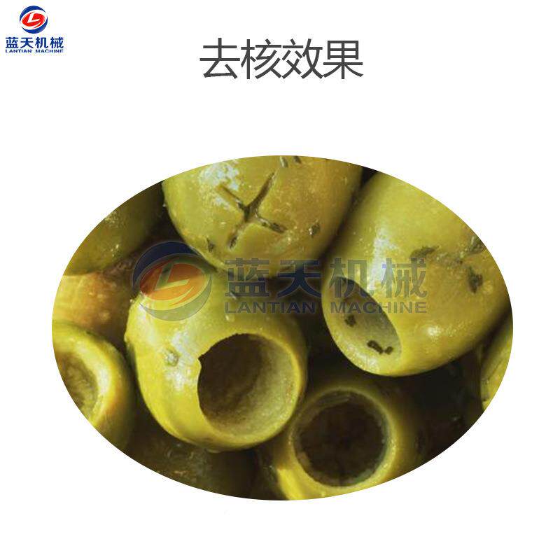果LT-GLQHJ全自动橄榄去核 商用电动青榄去核机器 甘榄机橄青去核