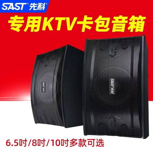 先科A10专业家庭KTV音响大功率重低音卡拉ok家用会议演唱卡包音箱