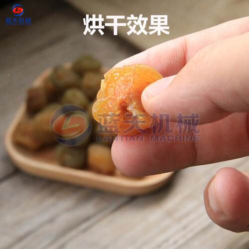 青梅烘线干VQQ设 全自动青 皮梅子西梅干清洗筛选备生产西梅干烘