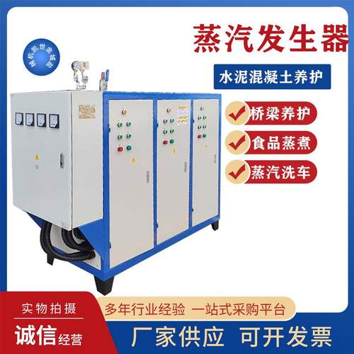 电加热式大型蒸汽发生器商用自动大功率工业用桥梁养护混凝土锅炉