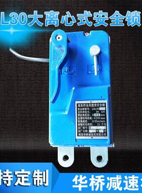 LSL30大离心式安全锁离心式安全锁风力发电用离心式安全锁