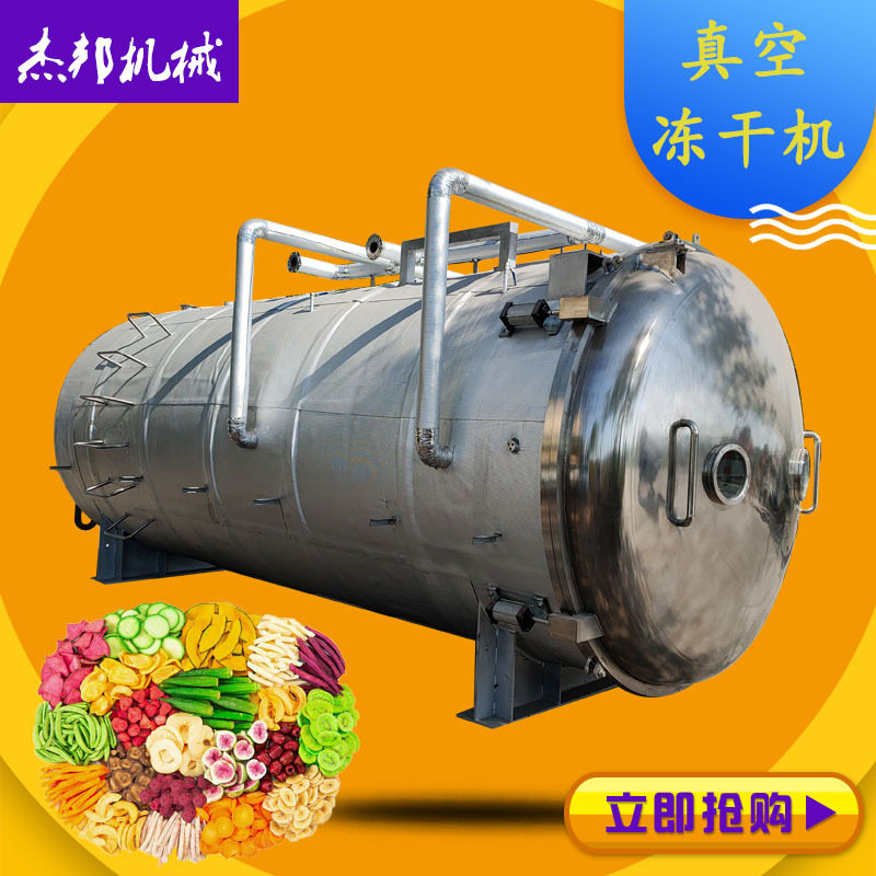 冻干黑皮鸡枞菌 菌类料包真空干燥设备 食品级冻干机