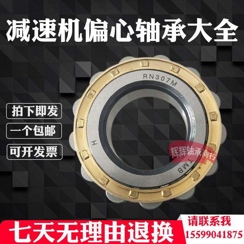 减速机偏心轴承 RN205 RN206 RN307 RN309 204 207 312 219 228 M
