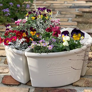 Hachan s转角花盆绿萝多肉大口径盆栽加仑盆