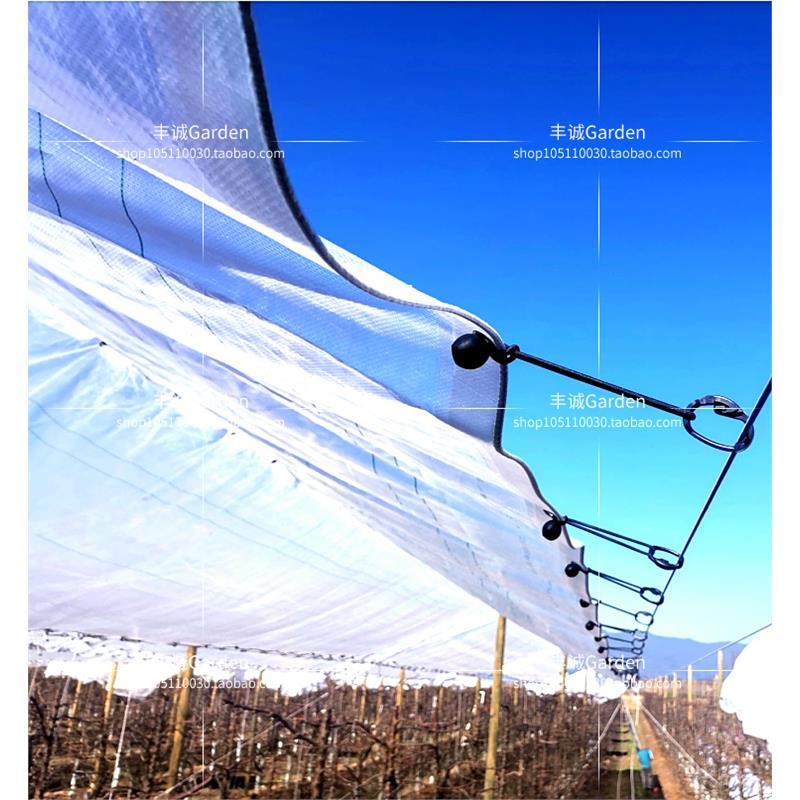 防雨布.*米防雨防水防冰雹果树避雨棚李子