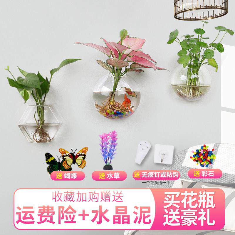 墙壁鱼缸壁挂花盆半上水