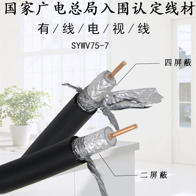 国标主线室外干线SYWV75-
