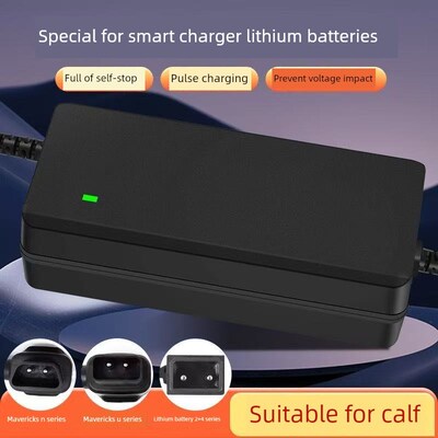 电动汽车锂电池充电器NSNg+N+ VV7V快充GG0