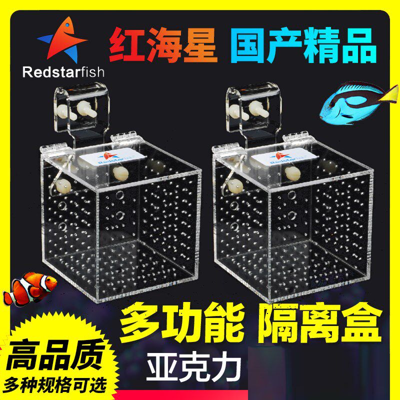 红海星盒RFS S A亚克力内置海水鱼珊瑚防打架繁殖盒