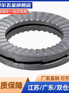 NLDP-B NLDP3 4 5 6 8 10 11 12 14 16 18 20防松动垫圈