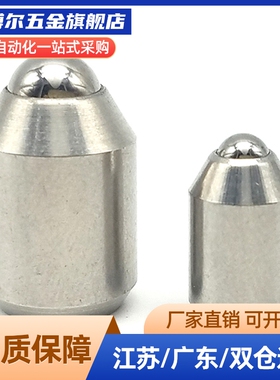 替BSZP5 6 8 10 12光身型球头柱塞无牙定位珠弹弓顶销螺钉