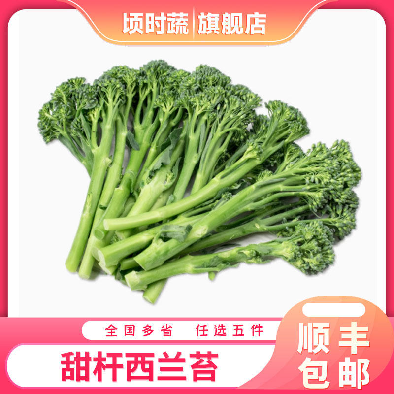 甜杆西兰苔500g 新鲜蔬菜芦其它