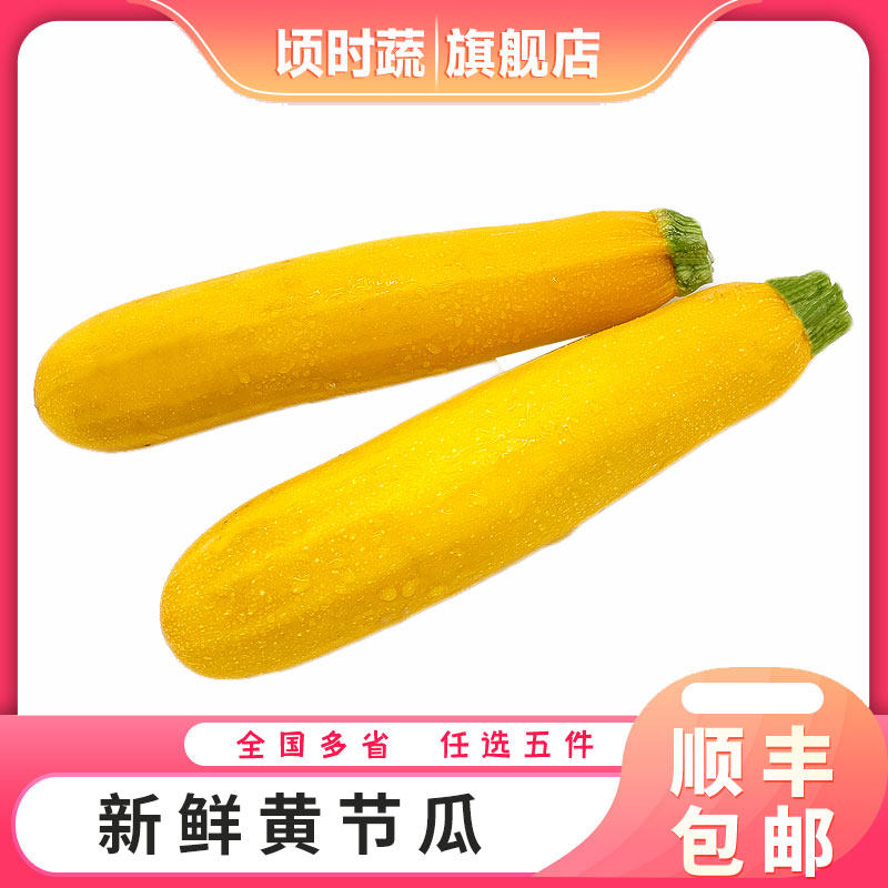 新鲜黄节瓜500g 黄西葫芦茄瓜毛瓜热炒凉拌蔬菜 满5件包邮