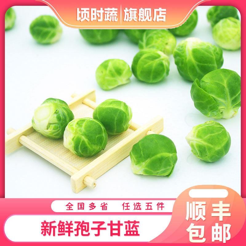 孢子甘蓝500g 新鲜沙拉食材其它