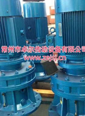 立式双轴型摆线减速机 XLE8275A/8270A/8265A/8255A/8245A/8235B