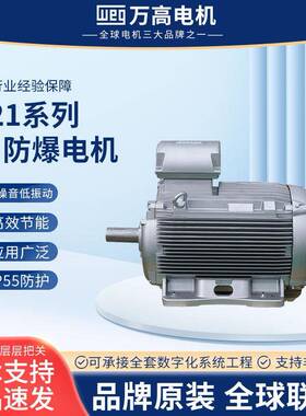 W21LX防爆电机IE30.55/315W机械高压设备电机铸铁粉尘隔爆电机