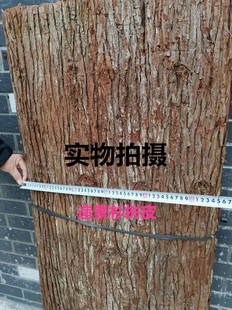 杉树皮天然真树皮农庄装饰杉木皮房屋造景防腐复古道具包水管外墙