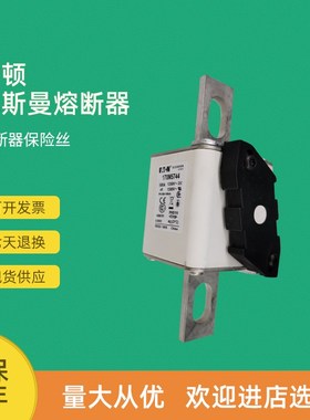 全新快速熔断器保险170M5738 170M5739 170M5740 170M5741
