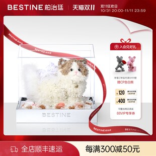 BESNE柏治廷花布偶猫波斯猫情人节表白礼物