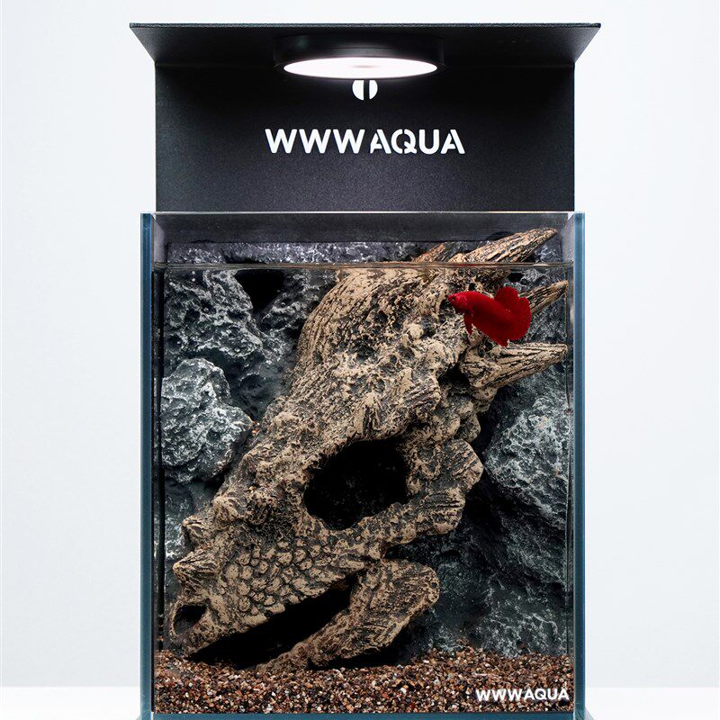 Wwwaq古化石新浮肿龙鱼缸景观超白玻璃斗鱼桌面景观鱼缸