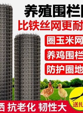 土工格栅南宁塑料网养鸡围栏网广西养殖网专用果园围网鱼塘防护