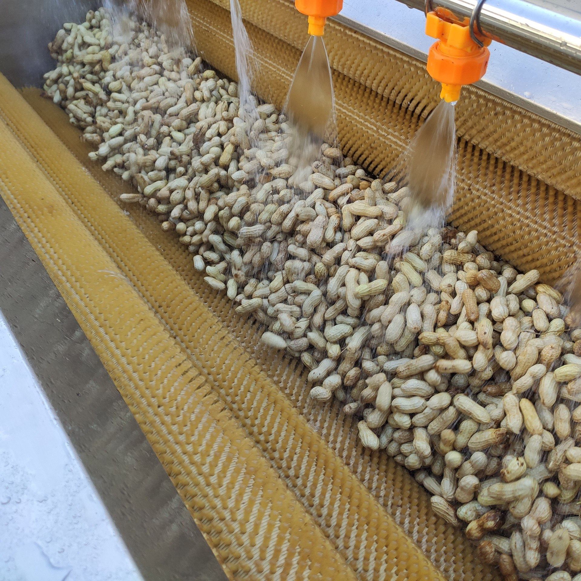 花生毛辊清洗机 云南木箱包装 田螺钉螺贝壳类加工毛刷清洗机,清洗/食品/商业设备,洗果机/洗菜机,淘宝优惠券,粉丝福利购,淘宝优惠卷