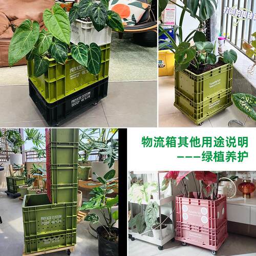 厂家eSFP供应可周转箱 塑料欧标E新U料堆叠u带盖灰色物流周转箱
