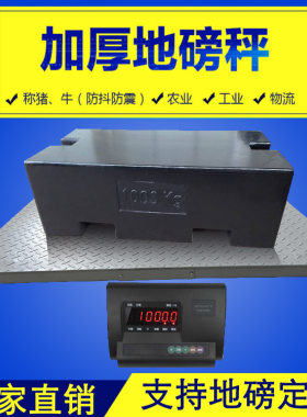 电子磅 500kg 1000kg 1T2t3吨