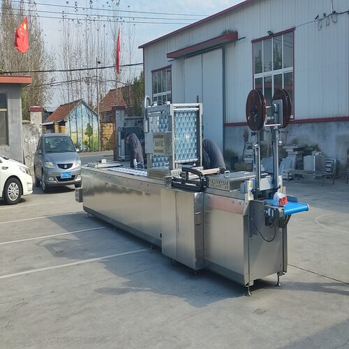 DLZ520全自动拉伸膜包装机 卤蛋拉伸真空包装机 凤爪鸭掌包装设备